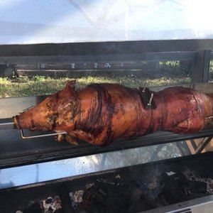 Meet your Posher, Larry